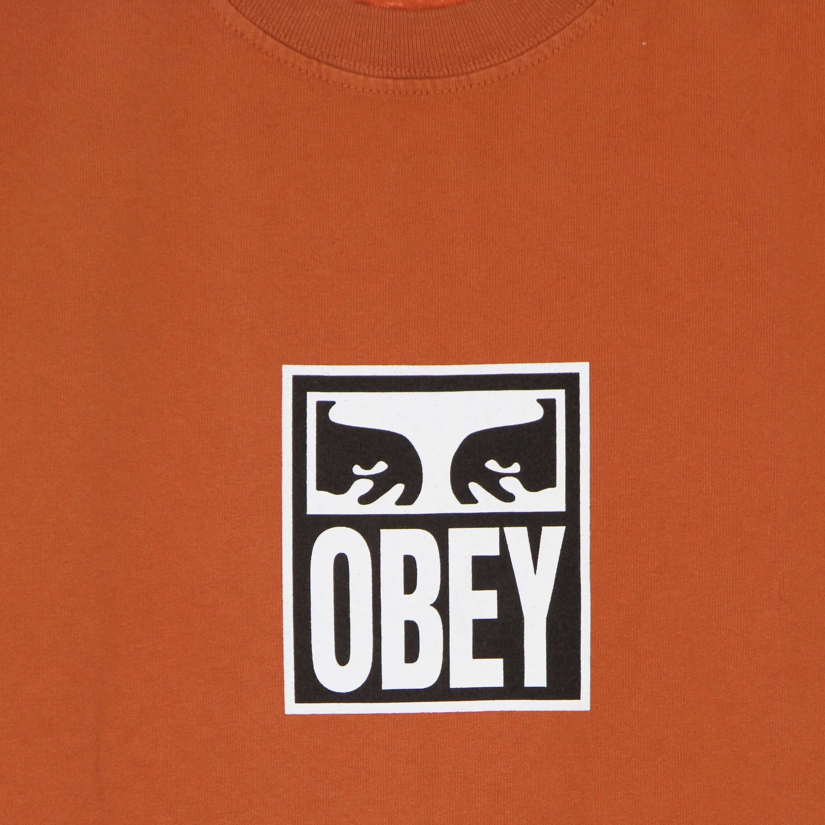Maglietta Uomo Eyes Icon 3 Heavyweight Tee Ginger