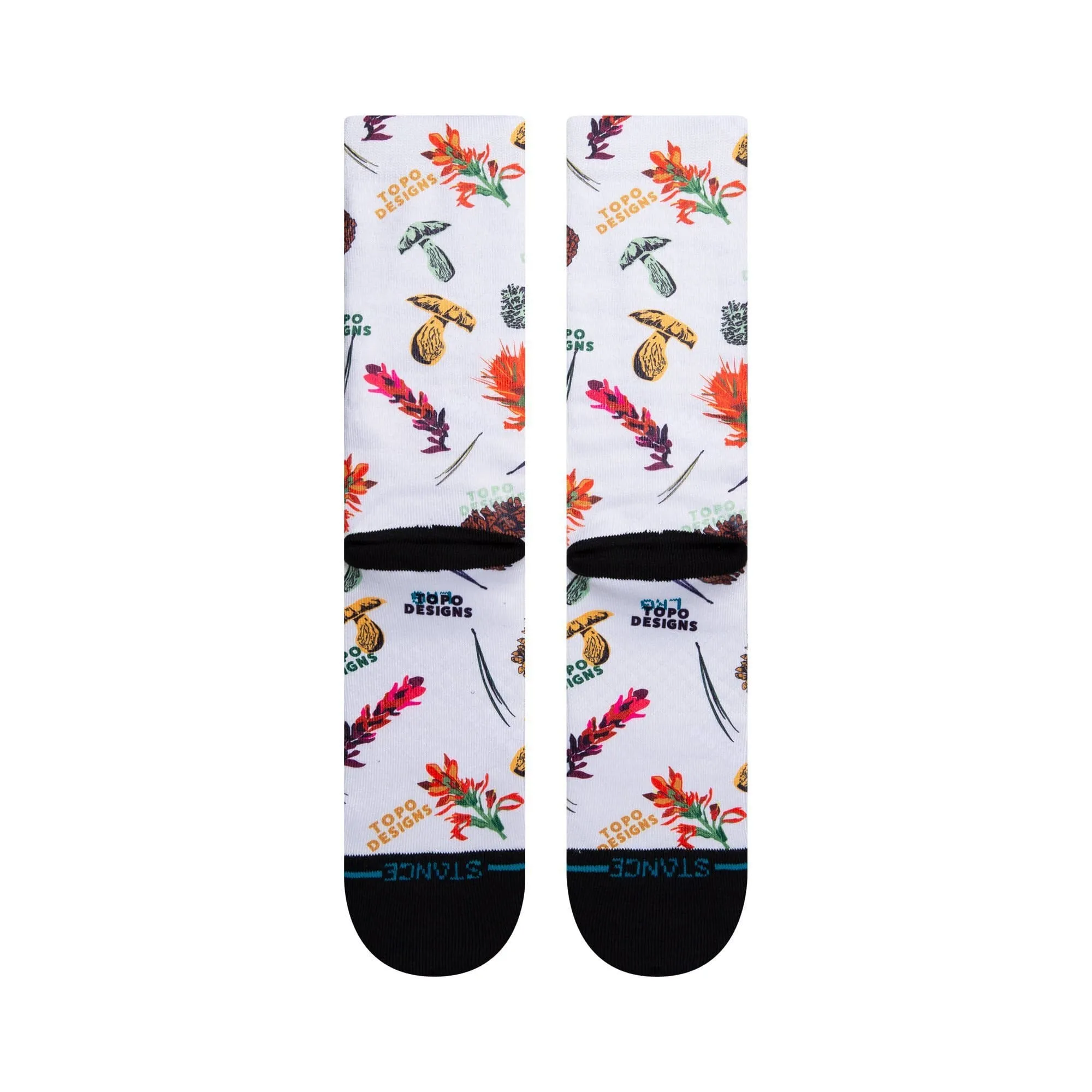 Topo Crew Canvas