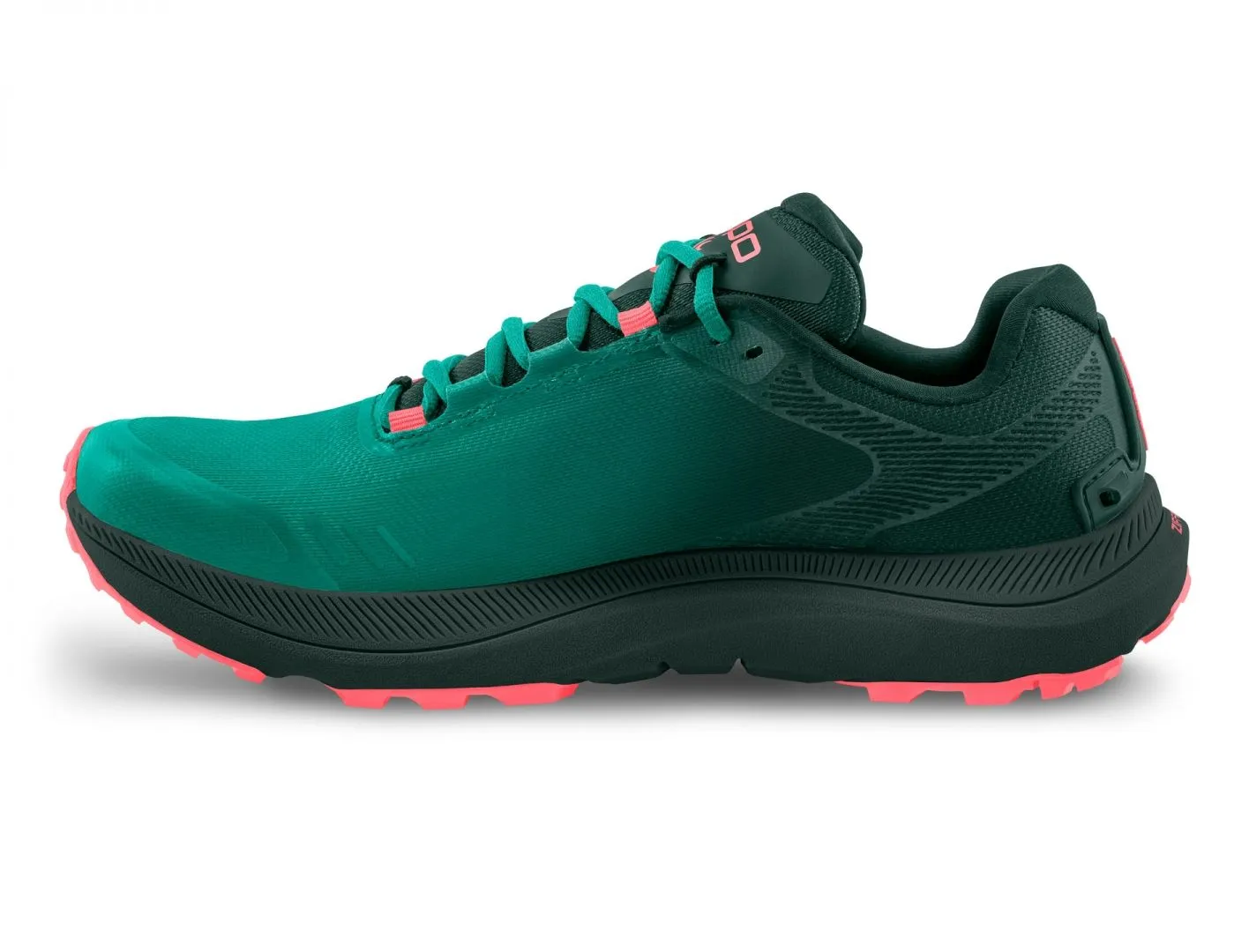 topo Mt-5 w