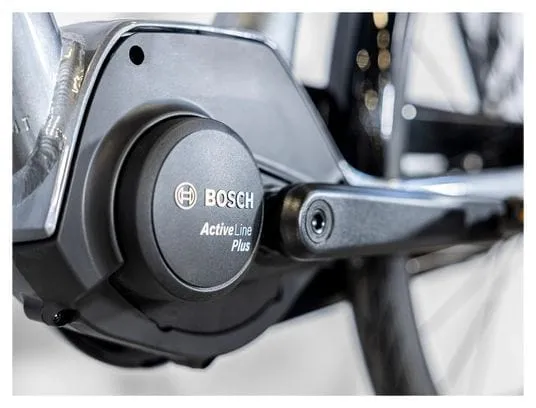 Trek District+ 2 Bicicletta da città elettrica Shimano Nexus 7V 400 Wh 700 mm Grigio 2023