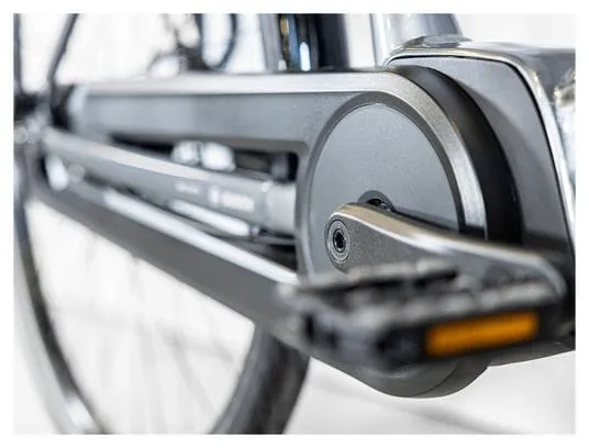 Trek District+ 2 Bicicletta da città elettrica Shimano Nexus 7V 400 Wh 700 mm Grigio 2023