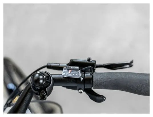 Trek Verve+ 2 Lowstep Shimano Acera/Altus 9V 300 Wh Sage Green 2023 Bicicletta elettrica da città