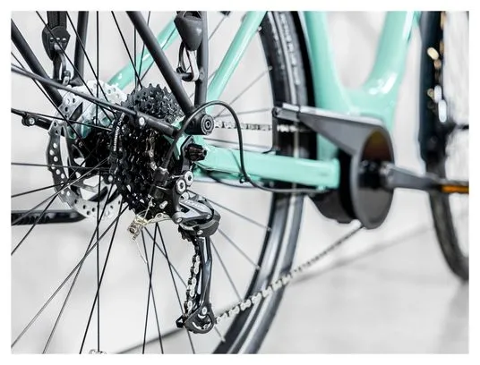 Trek Verve+ 2 Lowstep Shimano Acera/Altus 9V 300 Wh Sage Green 2023 Bicicletta elettrica da città